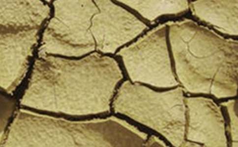 ���ϸɺ�����600��