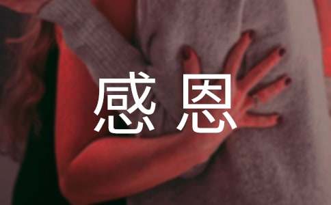 ���øж������\����ƪ