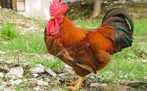 δ���Ĺ��u����