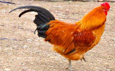 С���u������ͯԒ����4ƪ