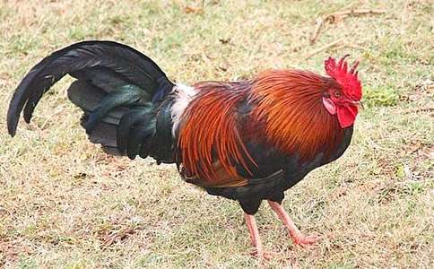 ؈�͹��uԢ�Թ���