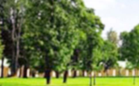 ���������@_С�W����