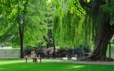 �����Ĺ��@���ļ����ķ���