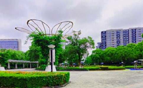 �������������@����