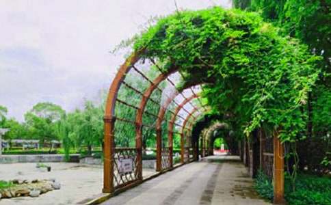 公園的四季作文(精選41篇)