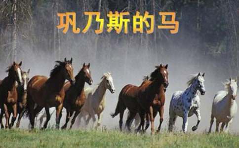 �����˹���R����x�𰸣�ͨ��5ƪ��