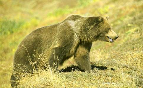 �����cӢ�۳���ӛ���ģ����x11ƪ��