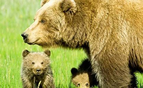 ���P(gu��n)��������500��3ƪ