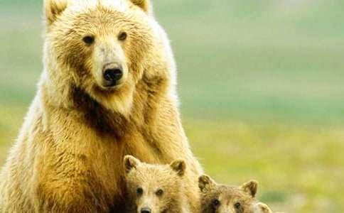 ������}��ֻ�����̰ܽ�