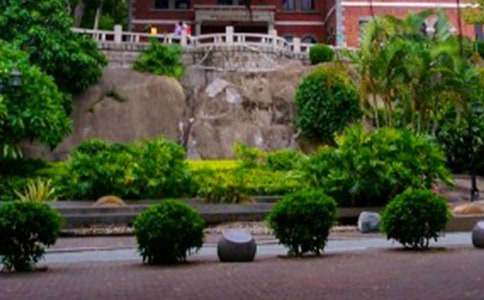 �B�T(m��n)���ˎZ֮������(3ƪ)