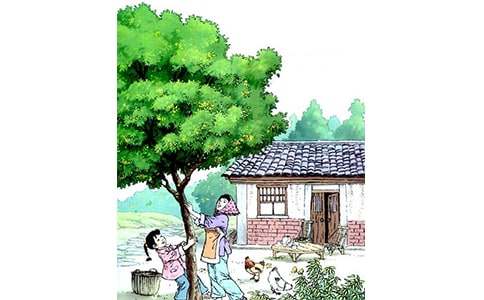 ��������ģ����x31ƪ��