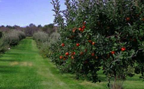 �����x�����@����300��3ƪ