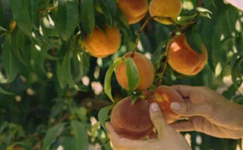 ���@���ļ����ģ�ͨ��27ƪ��