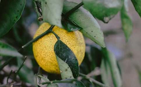 �̰��O(sh��)Ӌ(j��)�������@�C(j��)���ˡ�