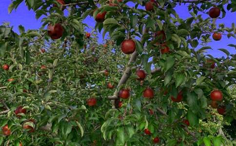 ���@��ӛ�Č�������