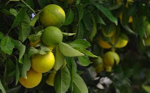 �����Ĺ��@���ģ����x64ƪ��