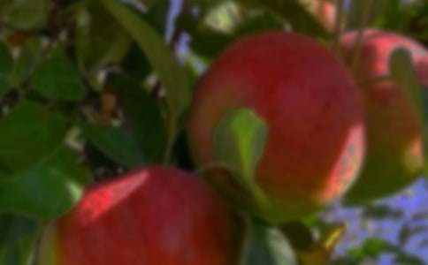 果園機(jī)器人-教案設(shè)計