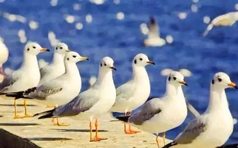 �������۾����t����700�֣�ͨ��42ƪ��