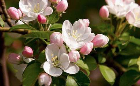 ���Ļ��_(k��i)_�S�P650������