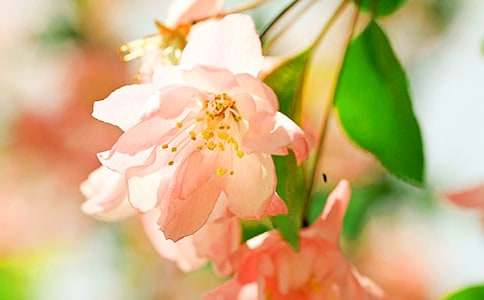 ���Ļ�����400�֣�ͨ��47ƪ��