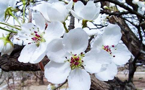 �r(sh��)�⺣�ĕr(sh��)��犱�����