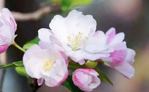 ���Ę����ģ�ͨ��15ƪ��