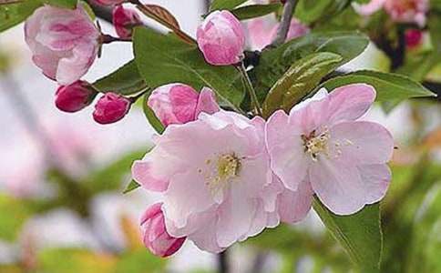 �����Ļ������ģ�ͨ��33ƪ��