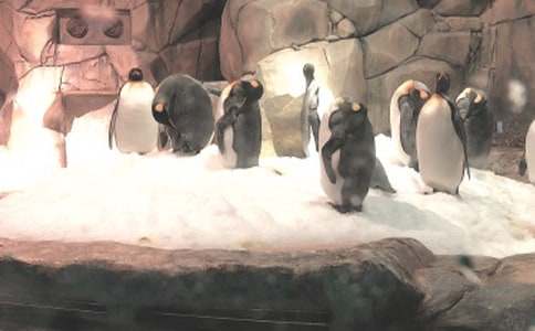 �κ��󹫈@���ģ�ͨ��39ƪ��