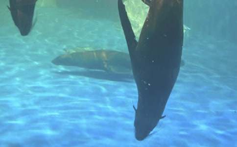 �L(zh��ng)¡���󹫈@������