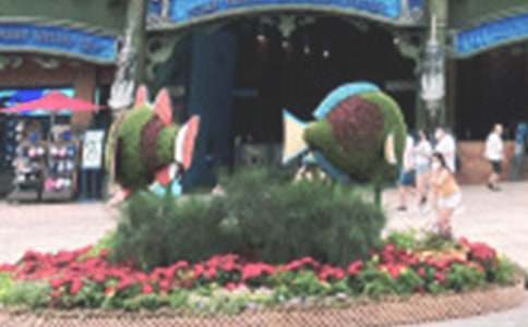 ���󹫈@_900��