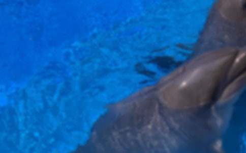 С����ͯԒ�������ģ�ͨ��15ƪ��