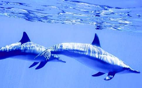 ���{ɫ�ĺ��������꼉����800��