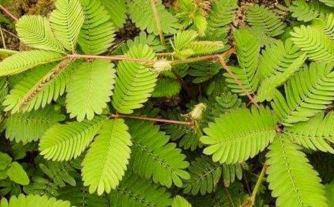 �������^�캬�߲�����