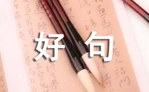 �����ı�����þ�230��