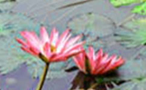 ���l(xi��ng)�ĺɻ�����600��7ƪ