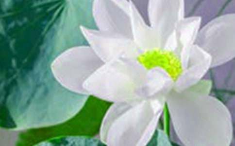 �p�ɻ�С�W����