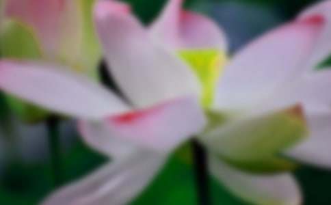 ���l(xi��ng)�ĺɻ�С�W(xu��)���ģ����x20ƪ��