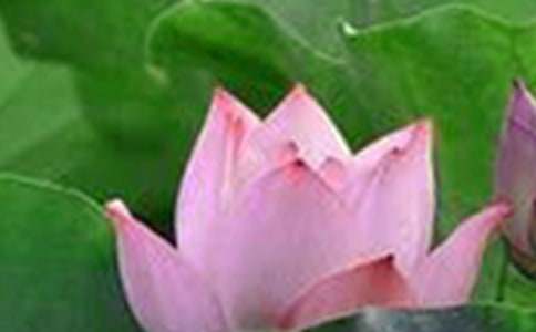 �p�ɻ�����