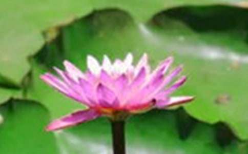 �茑�ɻ��������˵����ģ�ͨ��23ƪ��