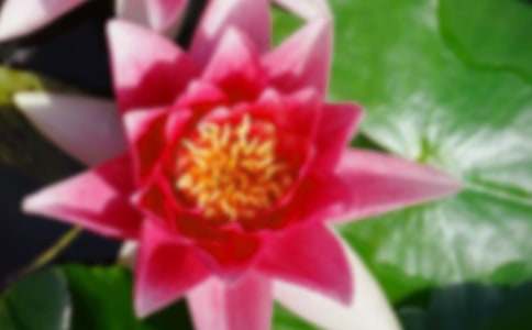 �����ĺɻ���С�W(xu��)����