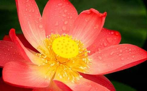 �Ґ������ĺɻ�-���꼉(j��)