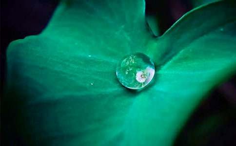 �Ұl(f��)�F(xi��n)�˺��~���������ģ����x30ƪ��