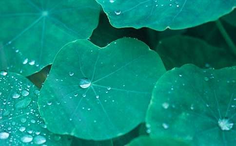 �茑���~������300��