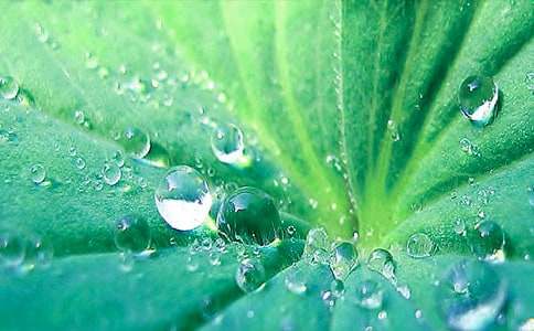 �Ұl(f��)�F(xi��n)�˺��~����������(6ƪ)