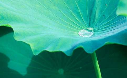 �������Ұl(f��)�F(xi��n)�˺��~����������