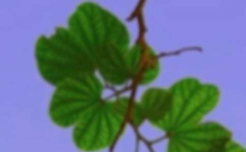 【精品】和諧作文600字匯編五篇