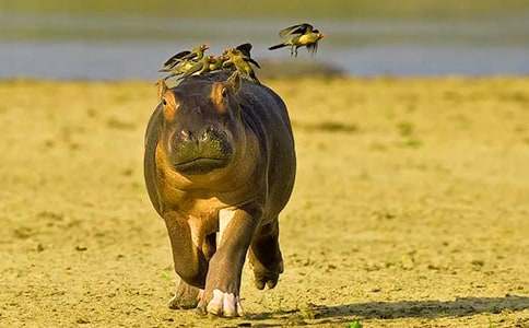 С���R����Ԣ��