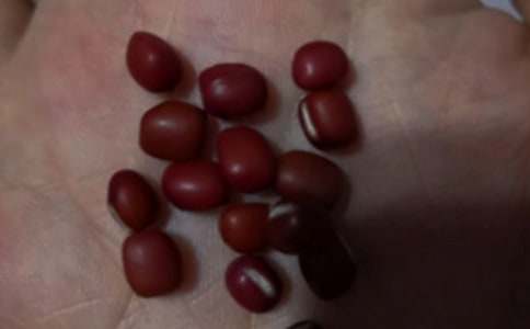 �t���İl(f��)ѿ�^����ӛ�����x40ƪ��