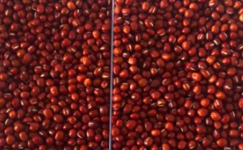 紅豆杉的感恩作文