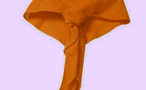 我與紅領(lǐng)巾作文300字